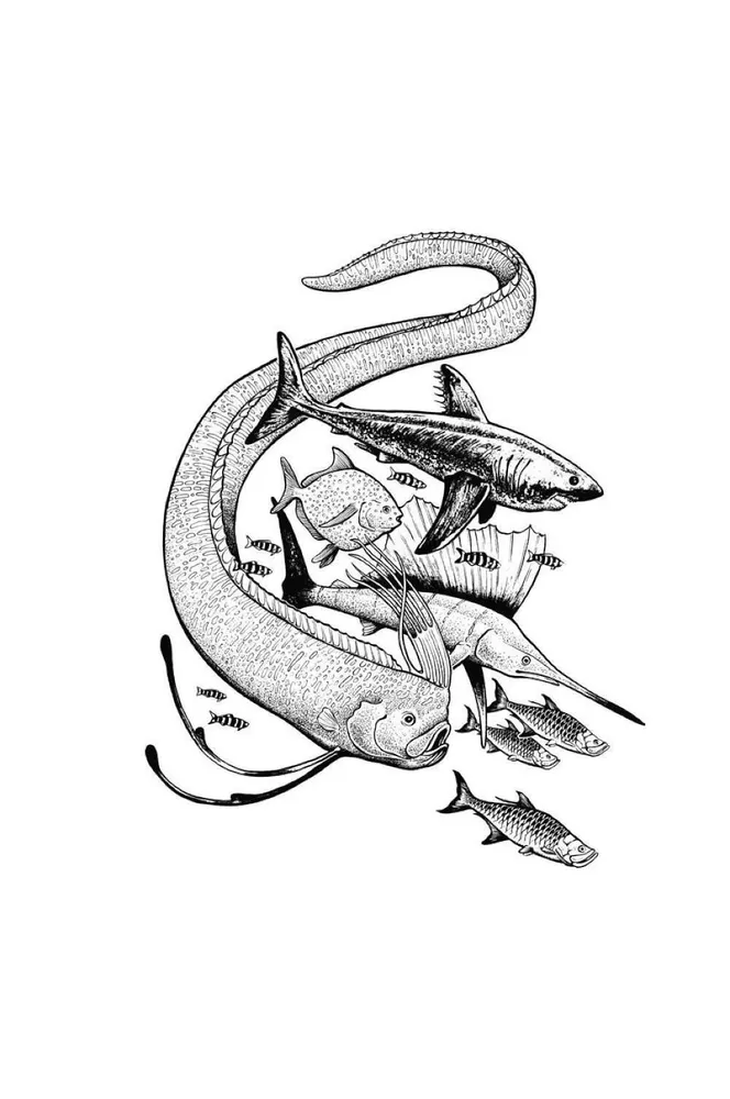 What Fish Keep Silent About. A Guide to the Life of Marine Creatures