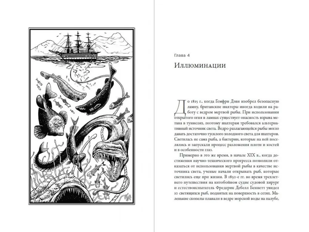 What Fish Keep Silent About. A Guide to the Life of Marine Creatures