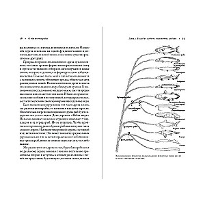 What Fish Keep Silent About. A Guide to the Life of Marine Creatures