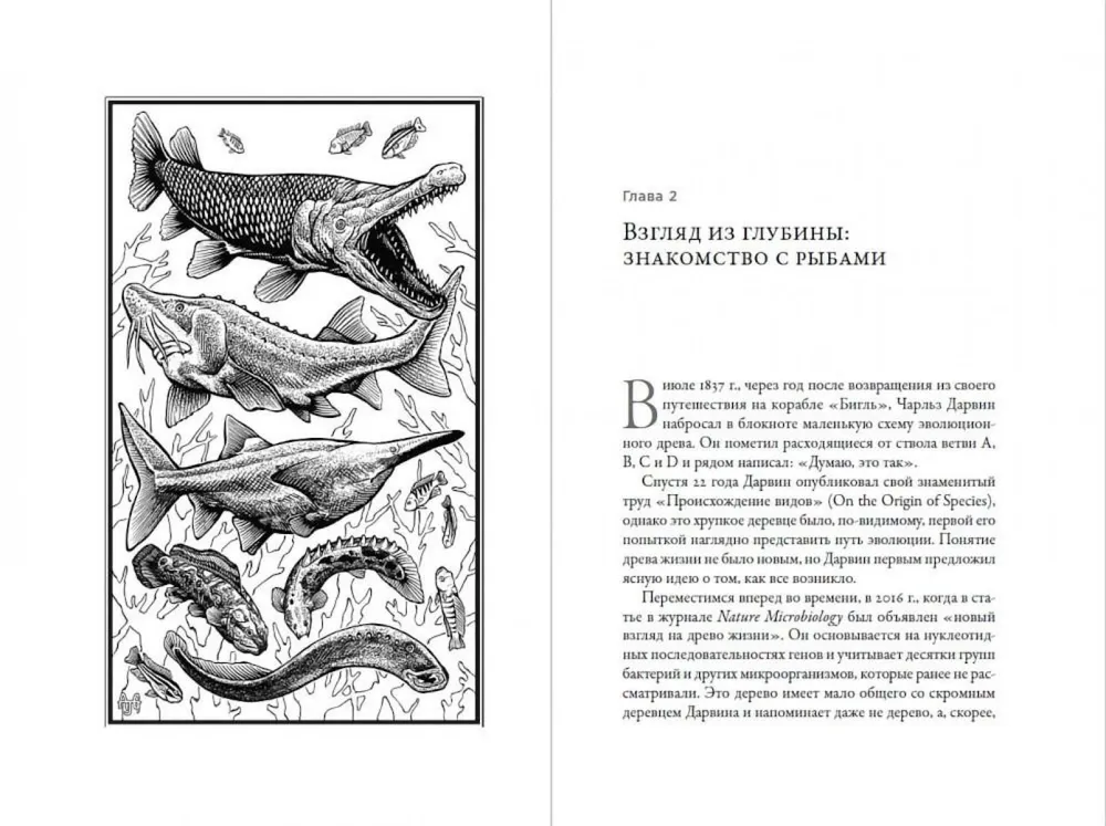 What Fish Keep Silent About. A Guide to the Life of Marine Creatures