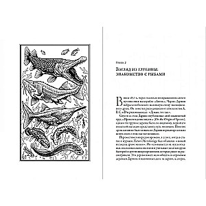What Fish Keep Silent About. A Guide to the Life of Marine Creatures