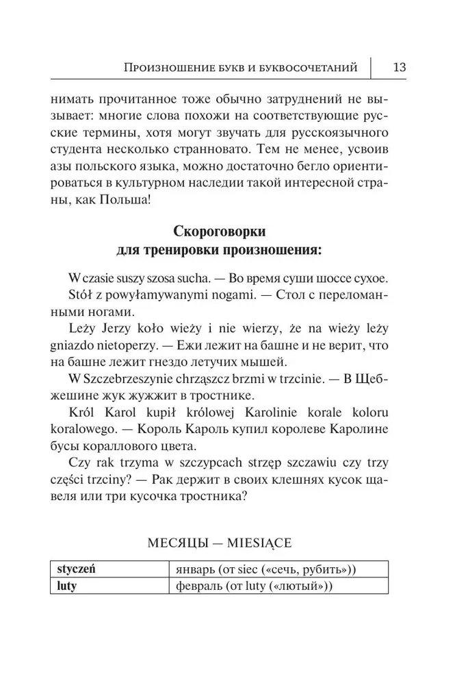 Polish Language. New Self-Teacher