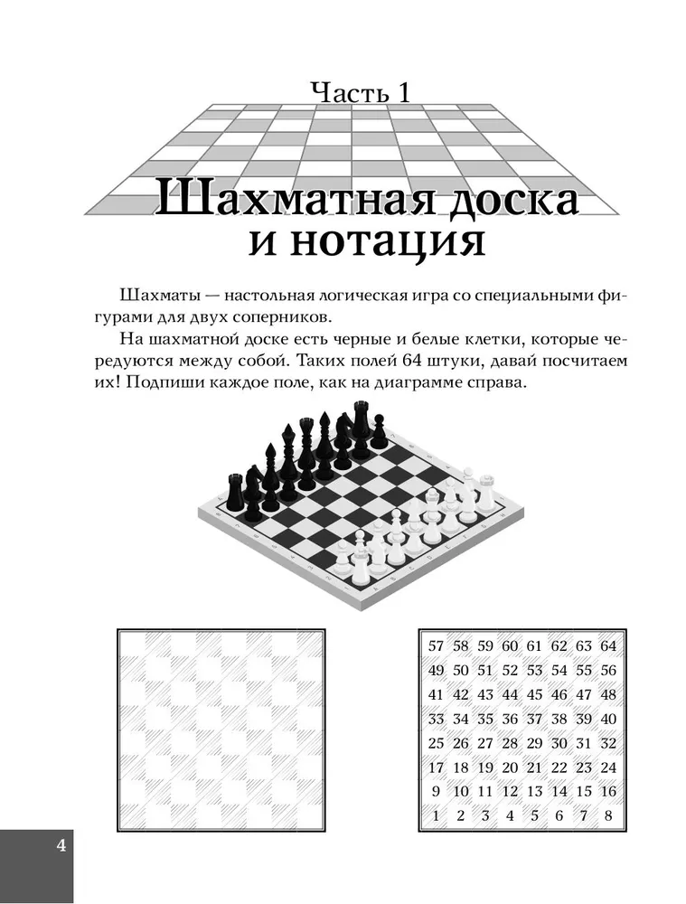 Chess. Basic Skills