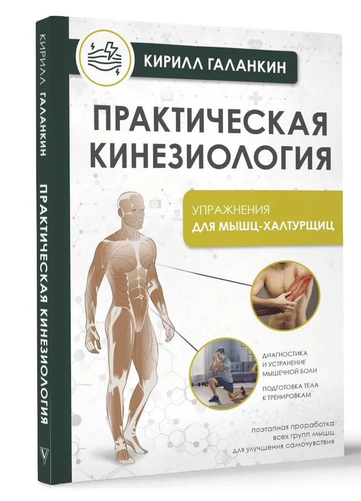 Practical Kinesiology. Exercises for Slacker Muscles