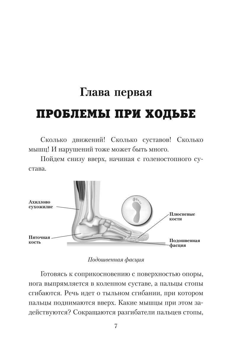 Practical Kinesiology. Exercises for Slacker Muscles