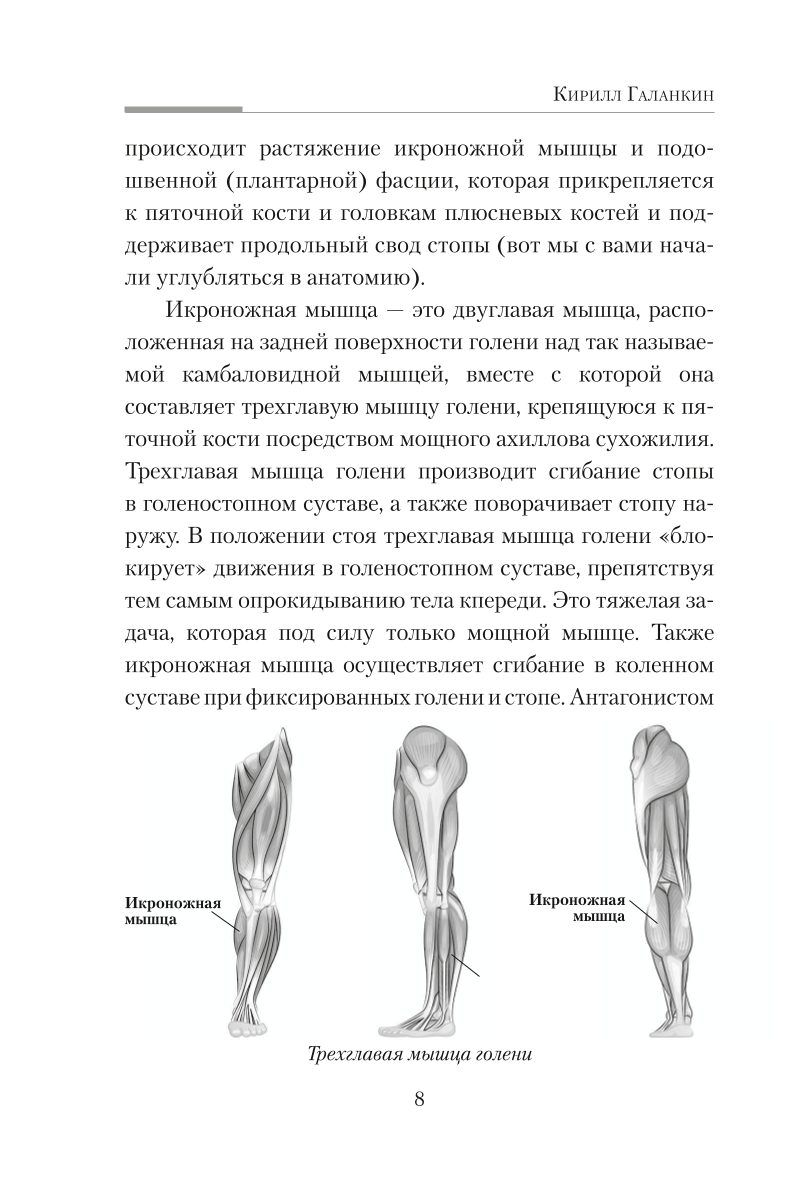 Practical Kinesiology. Exercises for Slacker Muscles