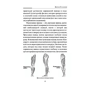 Practical Kinesiology. Exercises for Slacker Muscles