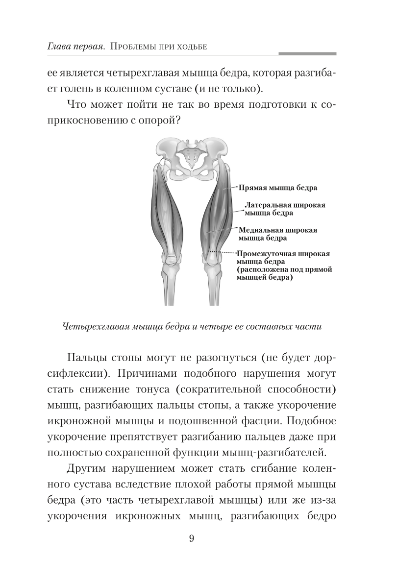 Practical Kinesiology. Exercises for Slacker Muscles