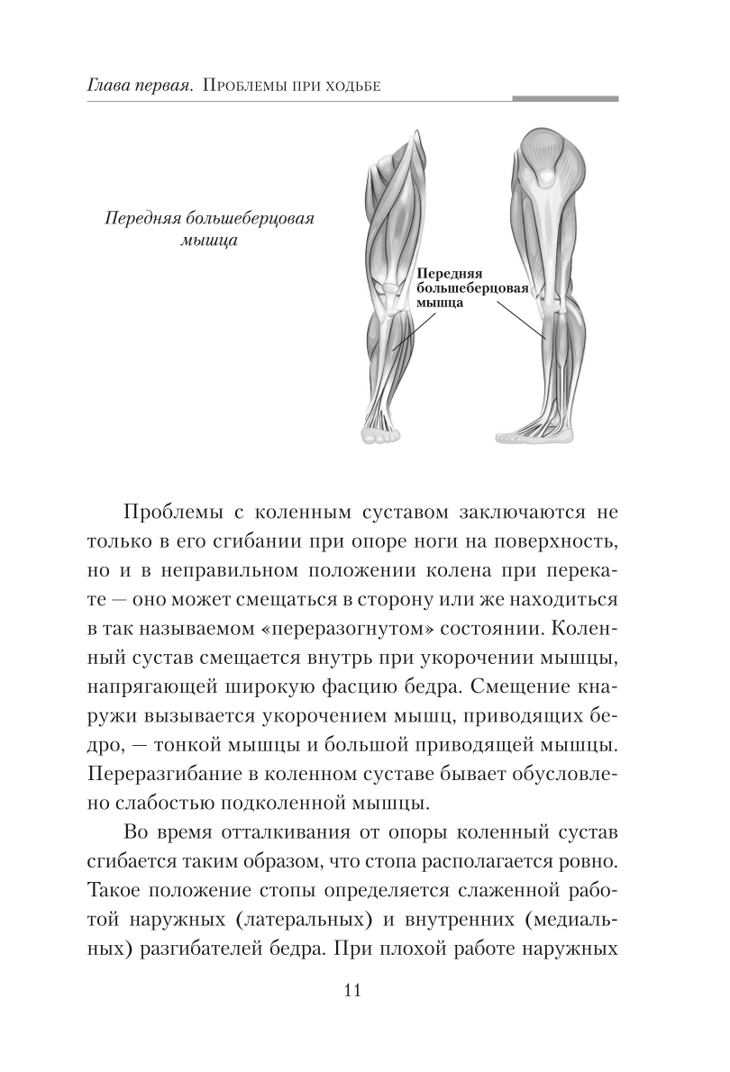 Practical Kinesiology. Exercises for Slacker Muscles
