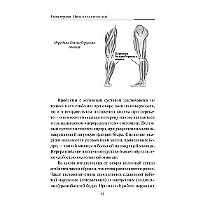 Practical Kinesiology. Exercises for Slacker Muscles