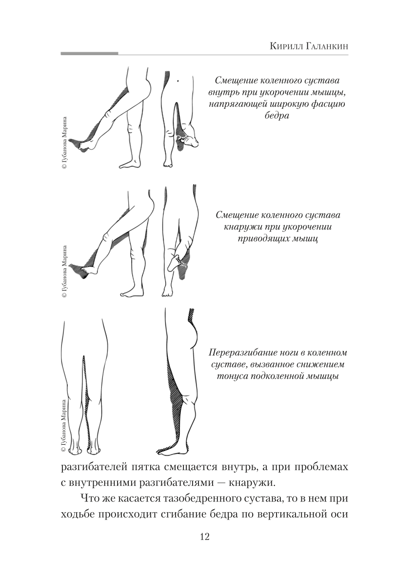 Practical Kinesiology. Exercises for Slacker Muscles