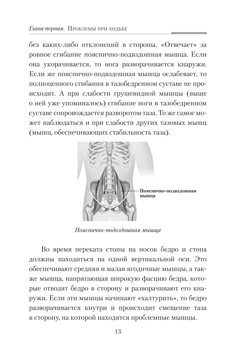 Practical Kinesiology. Exercises for Slacker Muscles
