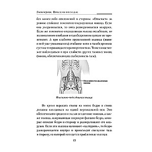 Practical Kinesiology. Exercises for Slacker Muscles