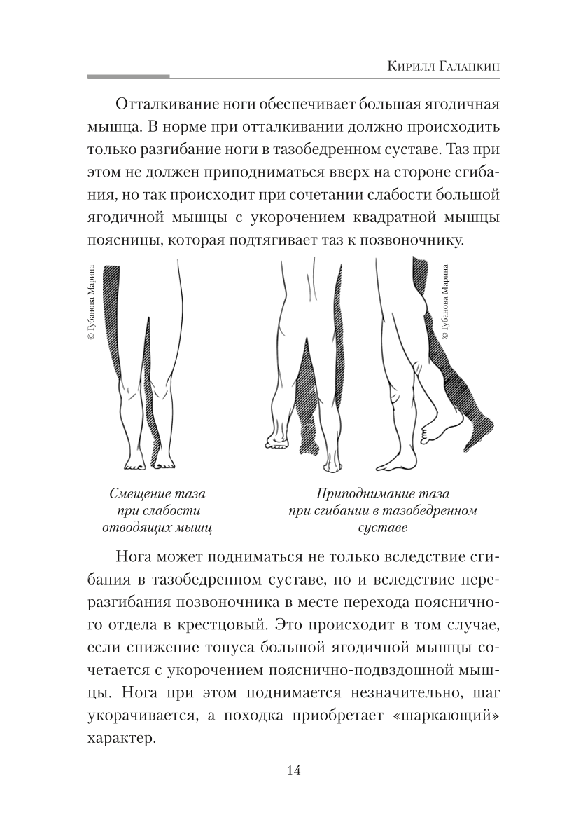 Practical Kinesiology. Exercises for Slacker Muscles