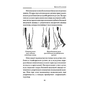 Practical Kinesiology. Exercises for Slacker Muscles