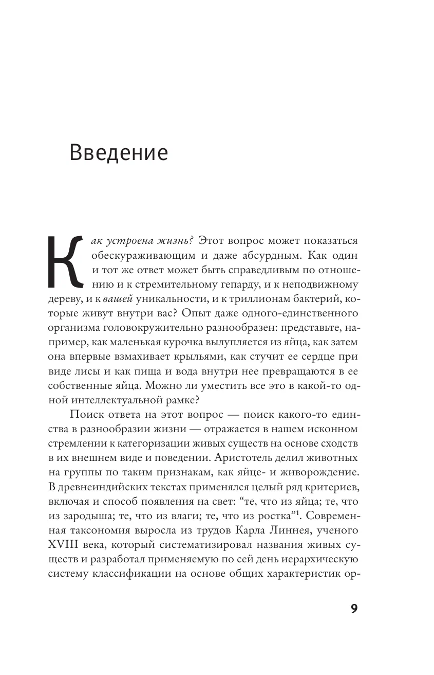Simple Beginning