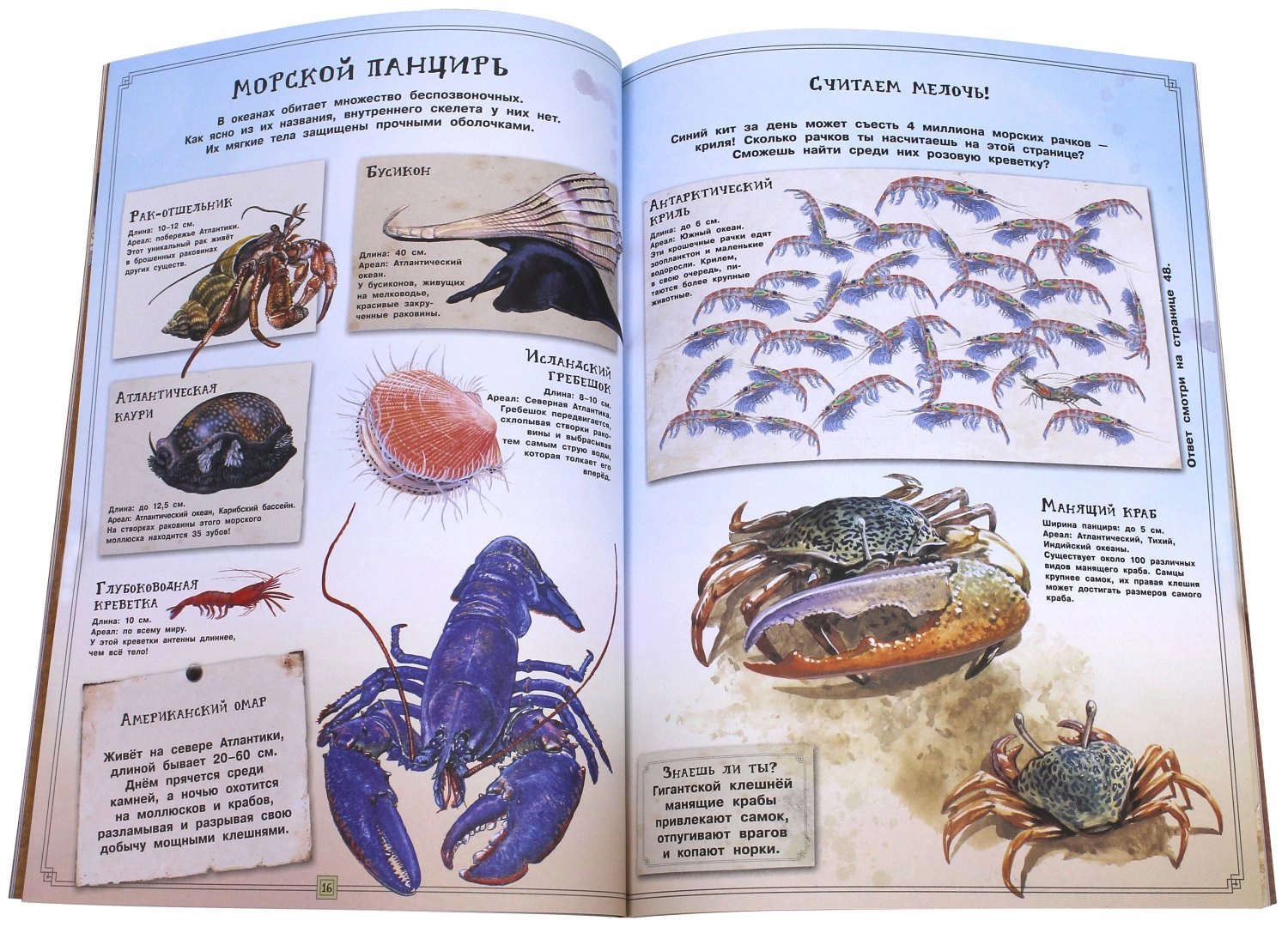The Life of Oceans