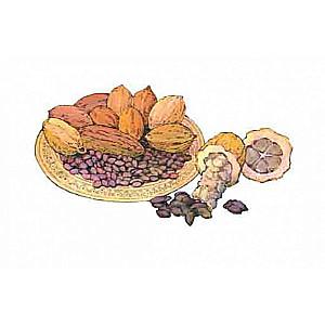 Chocolate-Appetizing Story