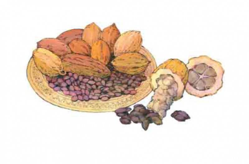 Chocolate-Appetizing Story