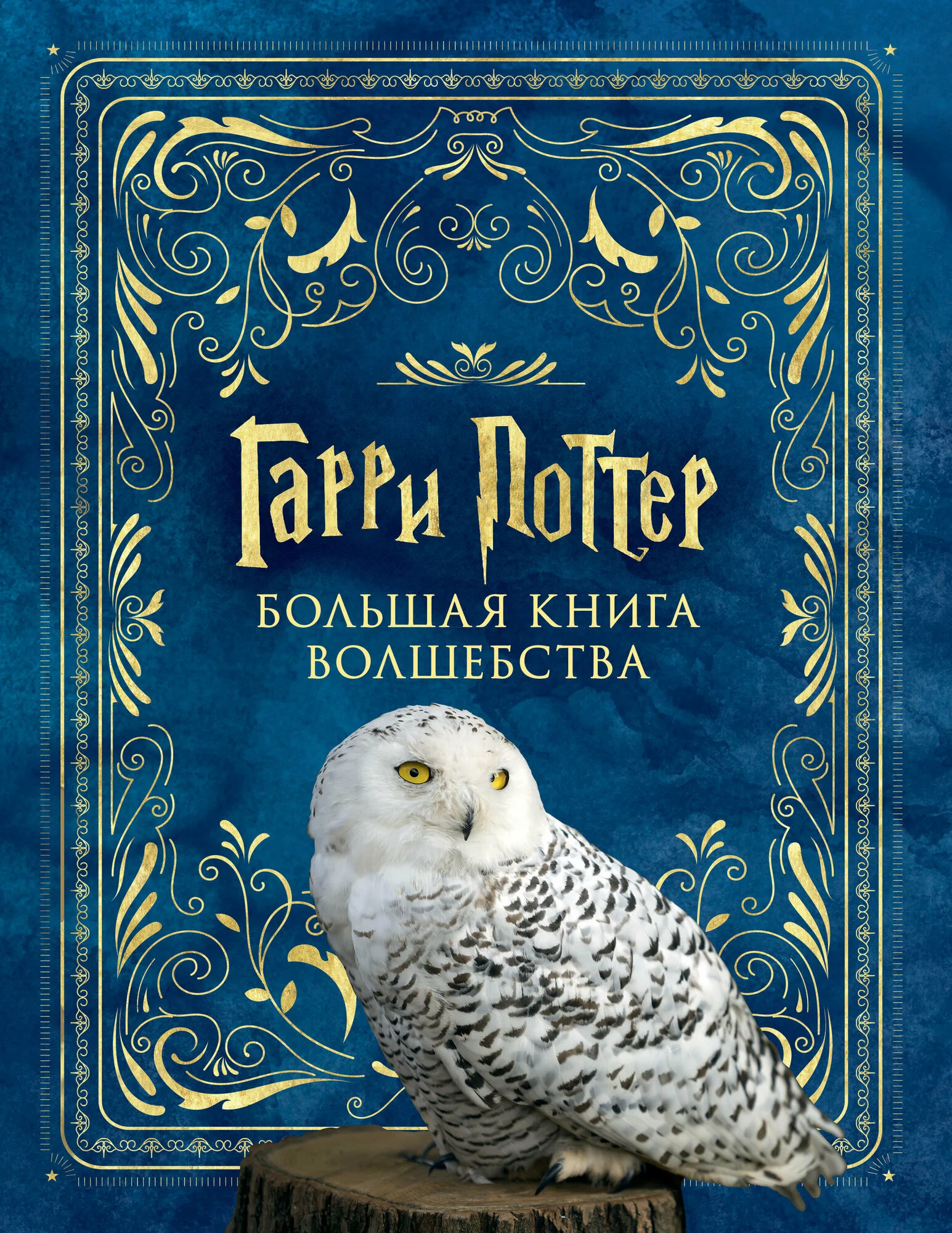Harry Potter. The Big Book of Magic