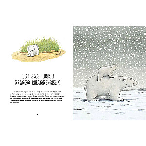 Larsi and His Friends. The Big Book About the Little Bear Cub