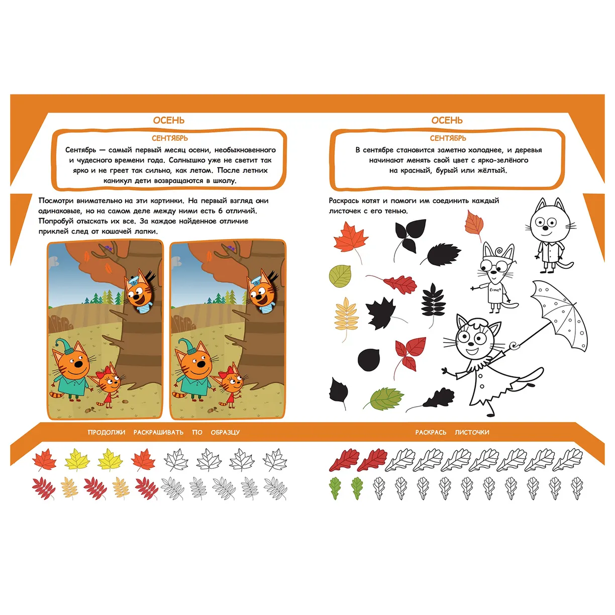 Educational Coloring Book - Seasons
