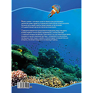 Secrets of the Seas and Oceans