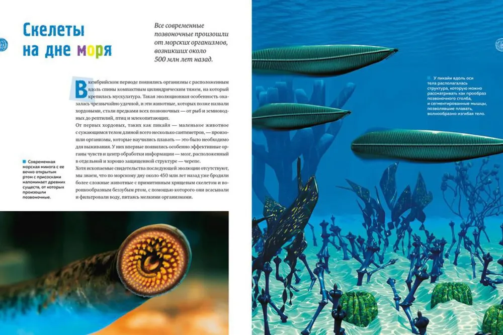 Secrets of the Seas and Oceans