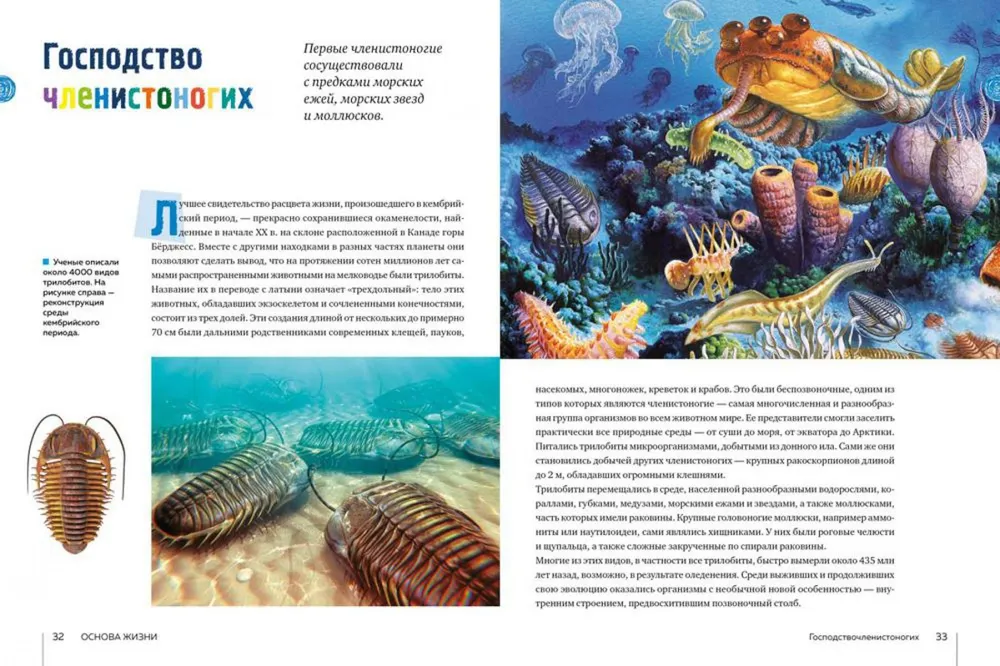 Secrets of the Seas and Oceans