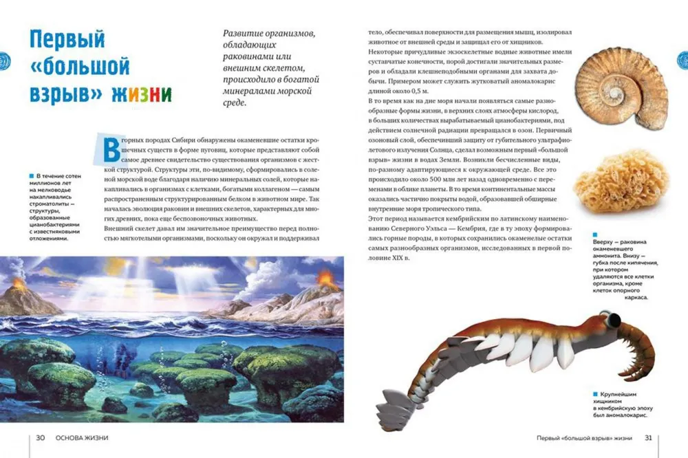 Secrets of the Seas and Oceans
