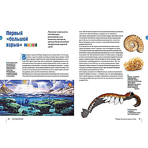 Secrets of the Seas and Oceans