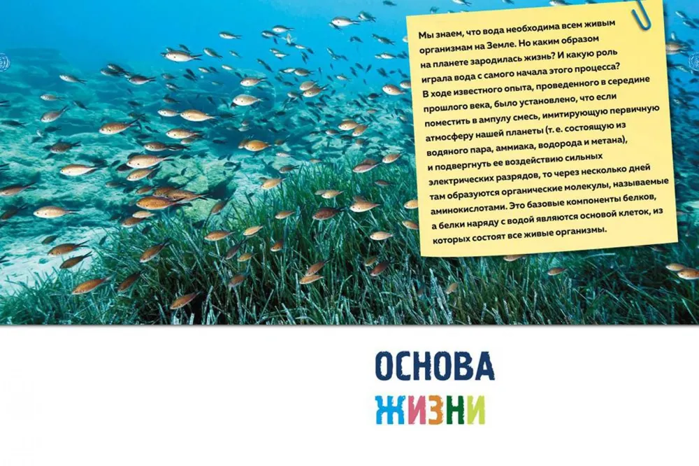 Secrets of the Seas and Oceans