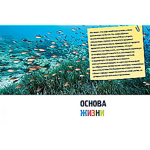 Secrets of the Seas and Oceans