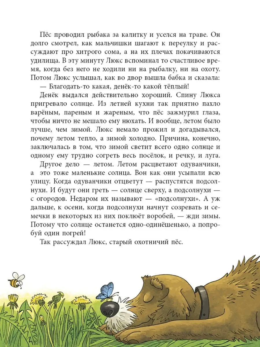 The Holidays of Cat Yegor