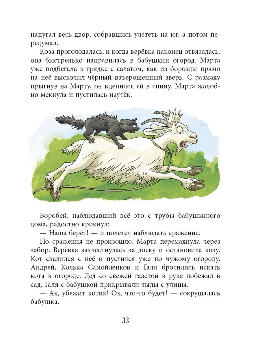 The Holidays of Cat Yegor