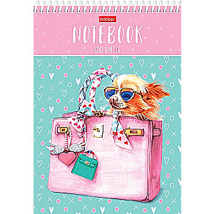 Notepad Fashion dog Chihuahua