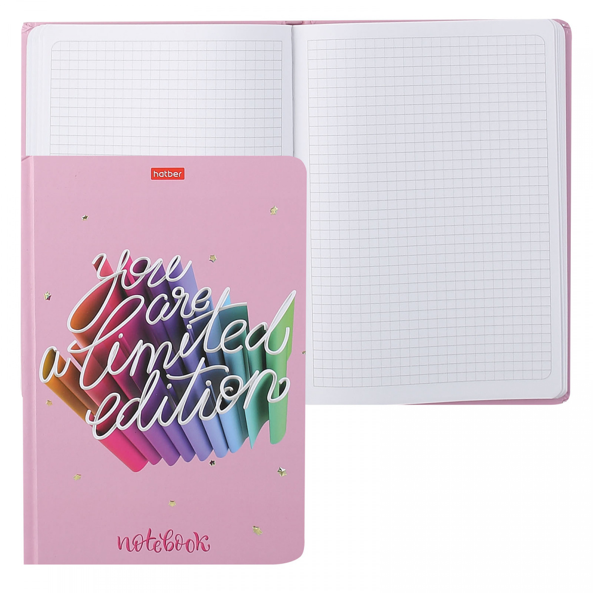 Business Notebook You are a limited edition