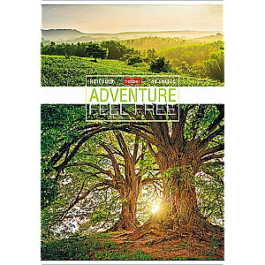 Notebook Journey (assorted)