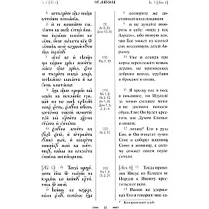The Holy Gospel with Parallel Translation