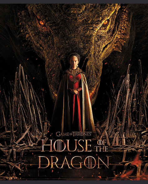 Notebook House of the Dragon 5 design in the block