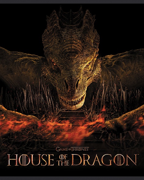 Notebook House of the Dragon 5 design in the block
