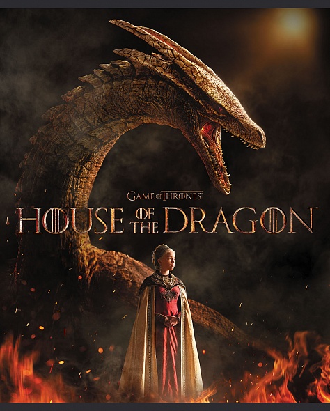 Notebook House of the Dragon 5 design in the block