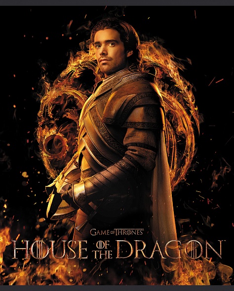 Notebook House of the Dragon 5 design in the block