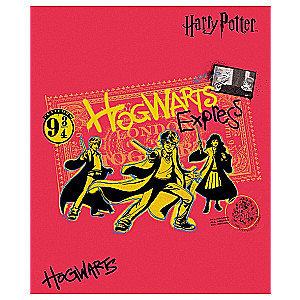 Harry Potter Notebook (assorted)