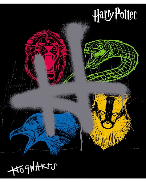 Harry Potter Notebook (assorted)