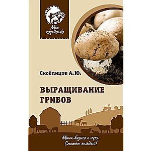 Mushroom Cultivation. Mini-Business from Scratch