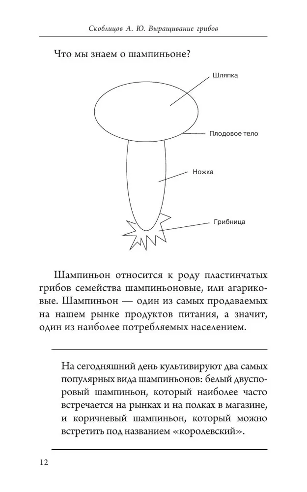 Mushroom Cultivation. Mini-Business from Scratch