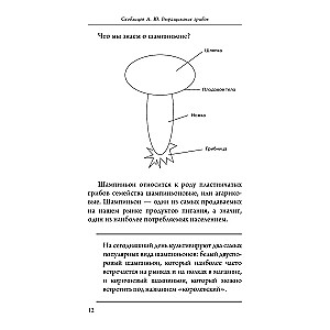 Mushroom Cultivation. Mini-Business from Scratch