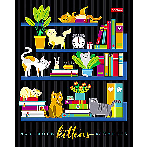 Notebook On the Bookshelves (Assorted)