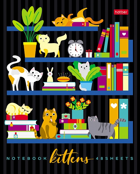 Notebook On the Bookshelves (Assorted)